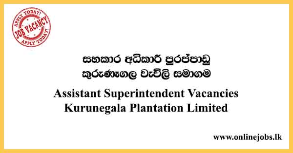 Assistant Superintendent Vacancies Kurunegala Plantation Limited