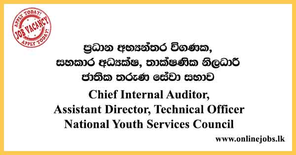 Chief Internal Auditor, Assistant Director, Technical Officer National Youth Services Council